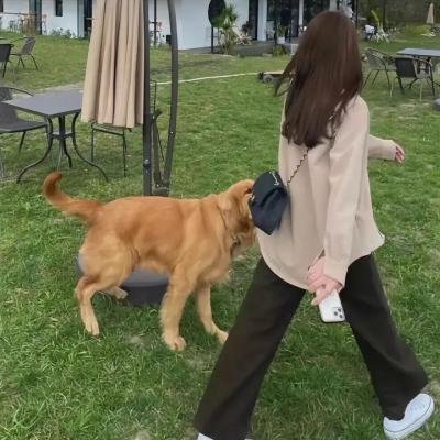 我的黑帮恋人 海报